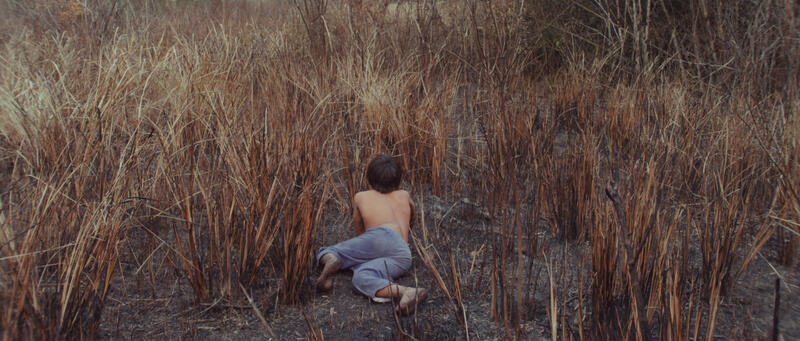 La transformation de Canuto