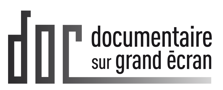 logo DSGE